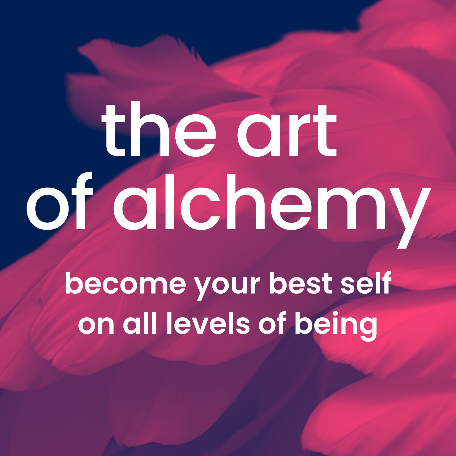 the art of alchemy logo